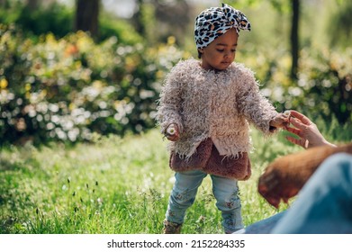 Adorable Black Girl Enjoys Playing In A Park Or Garden During A Walk Outside With Her Family. Funny African American Toddler Playing Outdoor. Stylish And Fashionable.