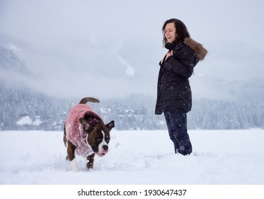 Adorable Boxer Dog playing with her owner in snow covered frozen lake during winter time. Alta Lake, Whistler, British Columbia, Canada.