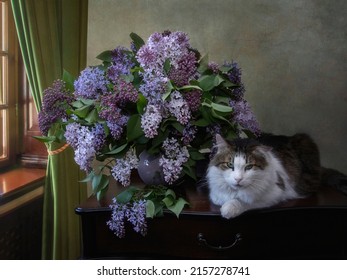 Adorable cat lying on a table with bouquet of lilac