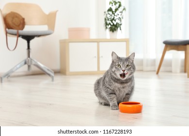 Adorable Cat Near Bowl Of Food Indoors. Pet Care