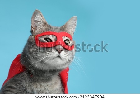 Adorable cat in red superhero cape and mask on light blue background, space for text