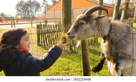 1,129 Laughing goats Images, Stock Photos & Vectors | Shutterstock