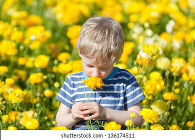 Adorable Caucasian Boy Smelling Flowers