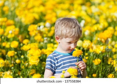 Adorable Caucasian Boy Smelling Flowers Stock Photo 137558384 ...