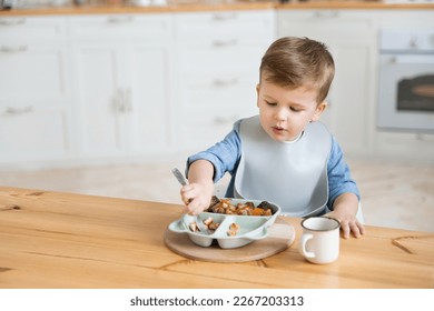 Adorable caucasian toddler boy eats vegetables on his own, pricking them on fork. The concept of self-feeding. BLW. Child eats healthy vegetables with meat on a high chair. Mock up. Place for text - Powered by Shutterstock