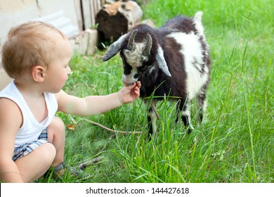 adorable child is cuddling a baby goat