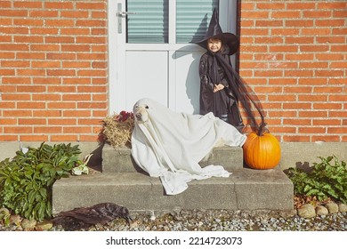 Adorable Child With Dog On Porch Dressed In Halloween Costumes