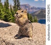 An adorable chipmunk eating nut on the top of stone fence overlooking the sea