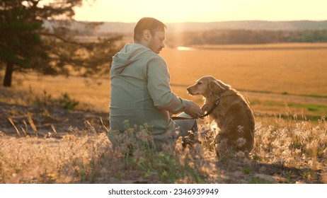 Adorable cocker spaniel dog gives paw to owner sitting on field grass at sunset light owner shakes paw of friendly red dog companion in summer park man holds paw of spaniel dog resting in field - Powered by Shutterstock