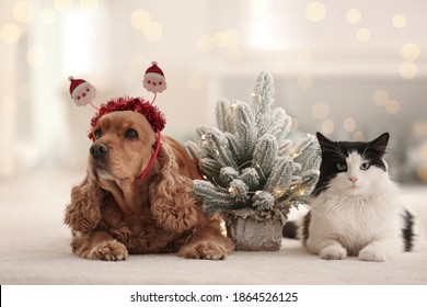 Adorable Cocker Spaniel dog in Santa headband and cat near decorative Christmas tree
