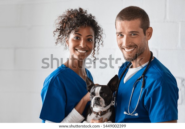 Adorable cute dog sitting at vet hospital with\
doctors looking at camera. Cheerful vet and african nurse holding\
boston terrier in clinic. Portrait of happy veteranian man and\
woman with pet.