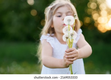 Adorable cute little preschool girl blowing on a dandelion flower on the nature in the summer. Happy healthy beautiful toddler child with blowball, having fun. Bright sunset light, active kid.
