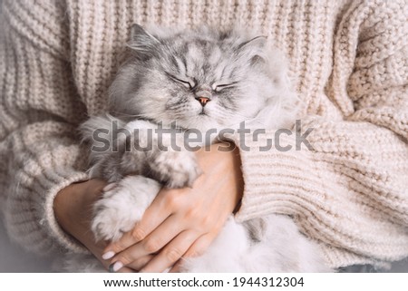 Adorable cute persian longhaired cat with closed eyes sitting in his owner arms. Pets and humans love, connection and trust concept.