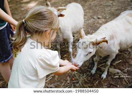 Adorable cute preschool girl feeding little wild goats in a wild animal forest park. Happy child petting animals on summer day. Excited and happy girl on family weekend, children activity in summer.