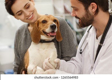 Adorable cute red dog sitting at vet office and looking at camera. Seductive woman with dog smiling and talking while professional vet doctor helps her dog in modern hospital. Concept of vet. - Shutterstock ID 1265564983