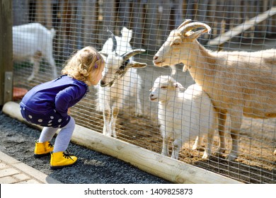 Adorable cute toddler girl feeding little goats and sheeps on a kids farm. Beautiful baby child petting animals in the zoo. Excited and happy girl on family weekend.