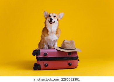 Adorable cute Welsh Corgi Pembroke going on vacation standing on red suitcase with straw hat on yellow studio background. Funny Vacation and Travel concept - Shutterstock ID 2285582301
