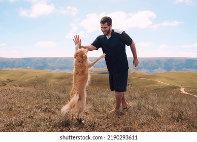 adorable dog greeting its owner with high-five. friendship concept. - Powered by Shutterstock