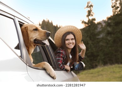 Adorable dog and happy woman looking out of car window in mountains. Traveling with pet