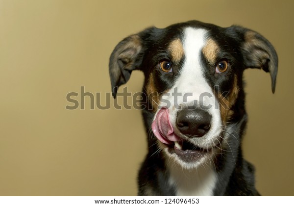 124096453-shutterstock