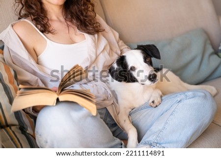 Adorable dog looking at camera while lying on owners lap. Woman in blue jeans reading a book sitting on sofa in library. Relaxed hobby time weekend. Home time with pet