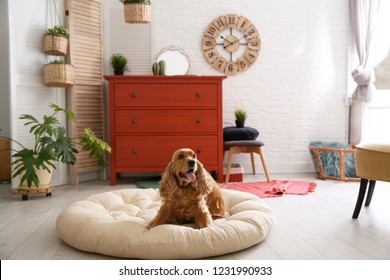 Adorable dog on pet bed in stylish room interior