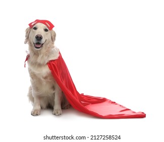 Adorable dog in red superhero cape on white background