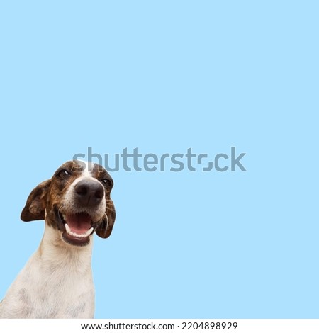 An adorable dog smiling. The dog is in the left side of the image with a happy face. The background is a light blue. There is a copy space.