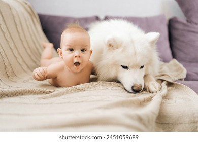 Adorable funny child sleeping with pet. Happy little child and lovely dog friendship. Portrait of relaxed infant baby lying on stomach together with dog of Samoyed breed on bed at home. - Powered by Shutterstock