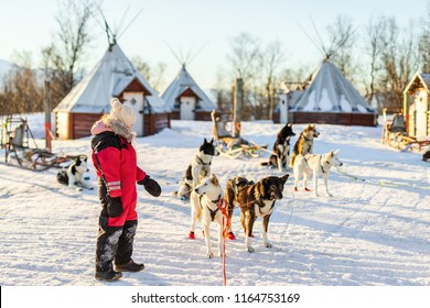 Adorable fille tenant une massue avec un chien à traîneau husky dans une ferme dans le nord de la Norvège
