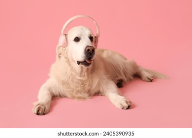 Adorable golden retriever in headphones on pink background - Powered by Shutterstock