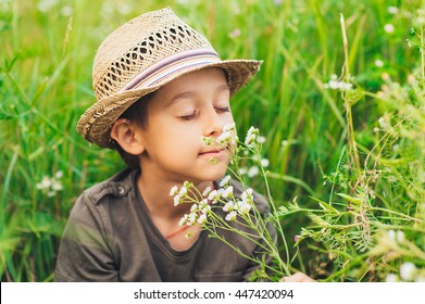 Adorable Kid Boy In Straw Hat Sitting On A Summer Meadow And Smelling White Flowers. Sunset In The Park. Outdoors. Vacations. Walking In The Farm.