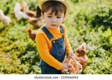 Adorable Kid Collecting Eggs Into Basket On Farm