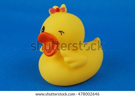 Adorable little baby duck