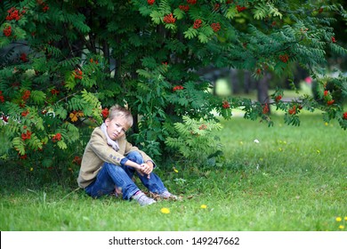 Adorable Little Boy Sitting Under Rowan Tree