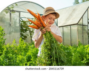 Adorable little child boy in straw hat with carrots in domestic garden. Kid gardening and harvesting. Consept of healthy organic vegetables for kids. Children's vegetarianism - Powered by Shutterstock