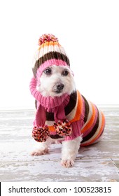 Adorable Little Dog Wearing A Striped Turtleneck Knitted Sweater, Matching Scarf With Pom Poms And Beanie To Keep Warm During Chilly Winter.