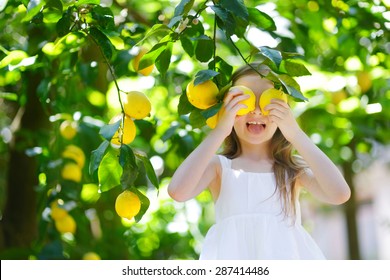 Adorable Little Girl Picking Fresh Ripe Lemons In Sunny Lemon Tree Garden In Italy