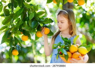 473,585 Kids oranges Images, Stock Photos & Vectors | Shutterstock