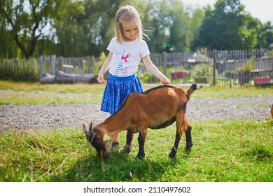 Adorable little girl playing with goats at farm. Child familiarizing herself with animals. Farming and gardening for small children. Outdoor summer activities for kids - Shutterstock ID 2110497602