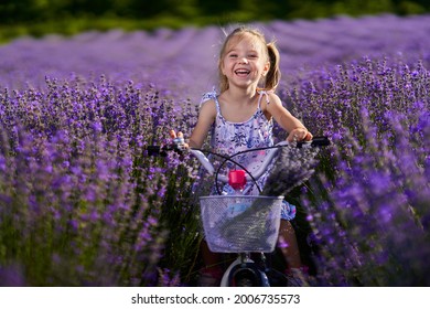 Adorable little girl riding her bicycle through a lavender field - Powered by Shutterstock