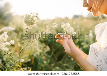 Similar – Image, Stock Photo Flowers backlit with person