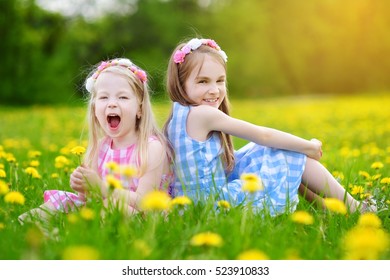 Adorable Little Girls Having Fun Together Stock Photo 523910833 ...