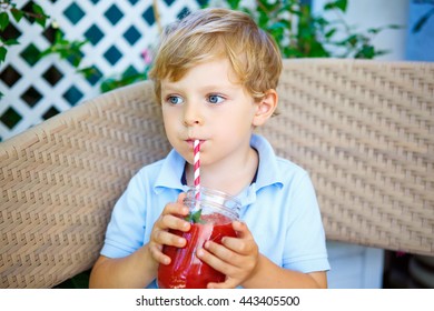 Adorable Little Kid Boy Drinking Healthy Fruits And Vegetables Juice Smoothie In Summer. Happy Child Enjoying Organic Drink.