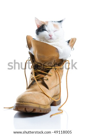 Similar – Image, Stock Photo sleep in… Animal Pet Cat