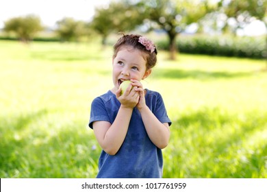 Adorable Little Preschool Kid Girl Eating Green Apple On Organic Farm