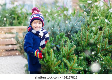 Adorable little smiling kid boy holding christmas tree. Happy child in winter clothes, hat, gloves choosing xmas tree in outdoor shop. Family, tradition, celebration concept