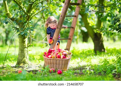 Adorable Little Toddler Girl With Curly Hair Wearing A Blue Dress Climbing A Ladder Picking Fresh Apples In A Beautiful Fruit Garden On A Sunny Autumn Day