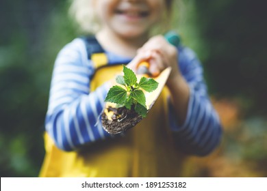 Adorable Little Toddler Girl Holding Garden Shovel With Green Plants Seedling In Hands. Cute Child Learn Gardening, Planting And Cultivating Vegetables In Domestic Garden. Ecology, Organic Food.