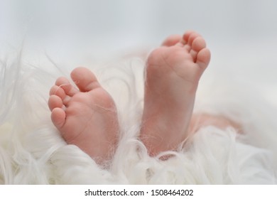 Adorable Newborn Baby Foot In A Fur Blanket